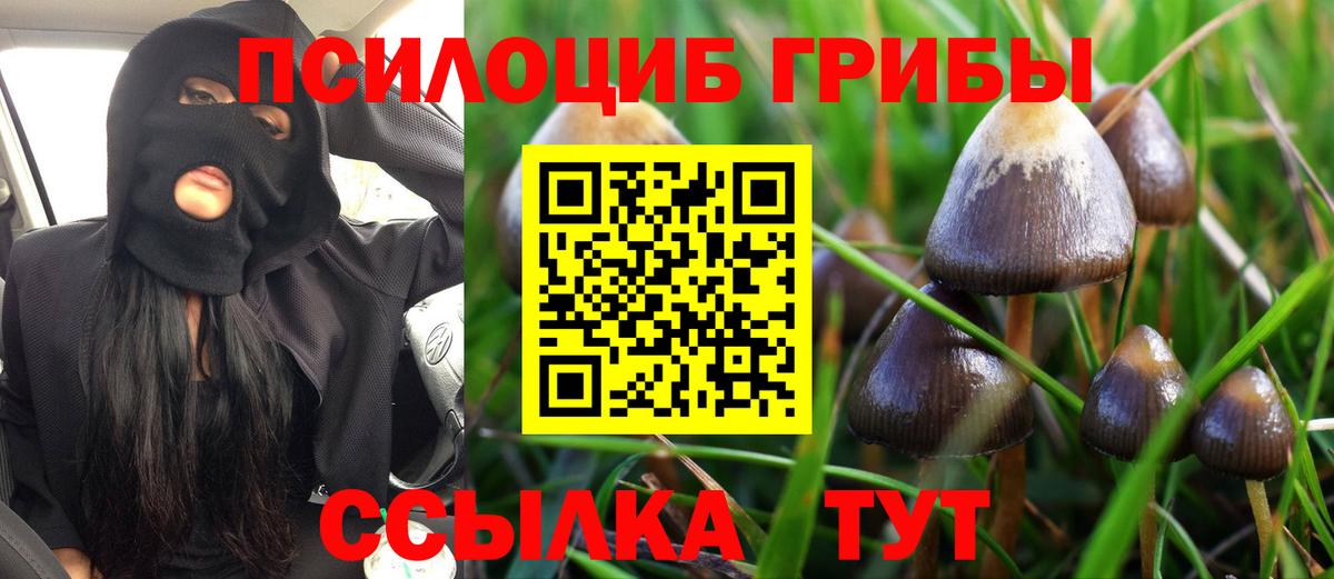 Лянтор  как найти наркотики  Вход с VPN  Псилоцибиновые грибы Psilocybine cubensis 