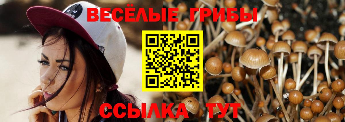 Галлюциногенные грибы Cubensis Лянтор